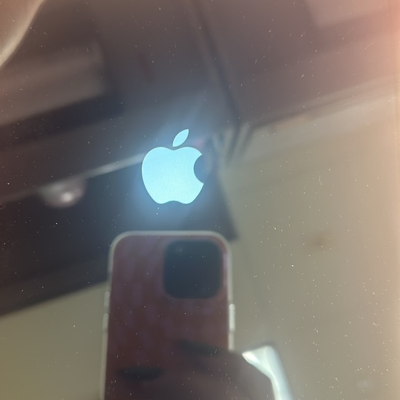 Pink ipad/speck case/glass protector/Apple Pencil - Picture 3 of 3